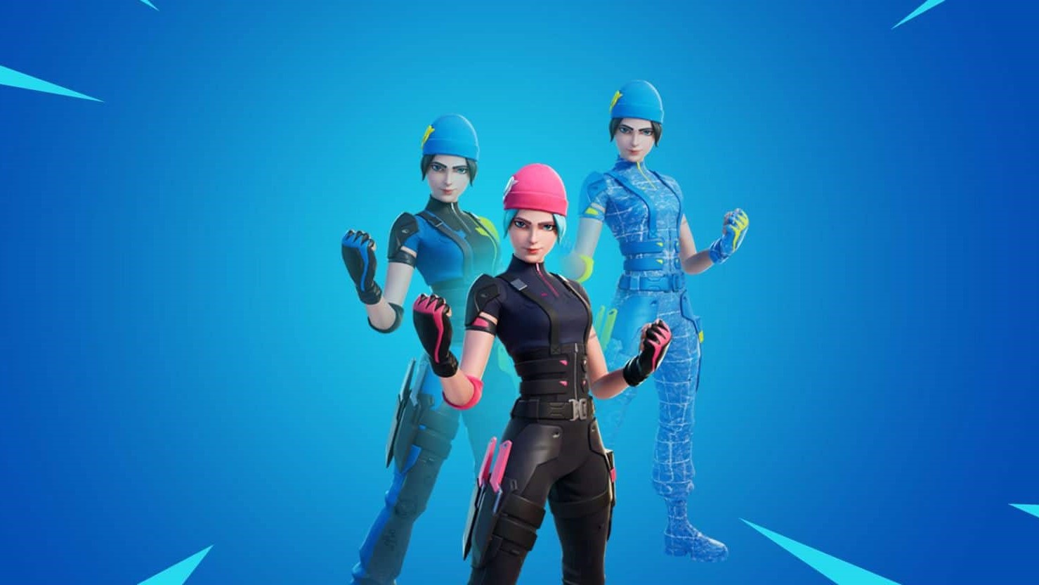 Wildcat Bundle + 2000 V-Bucks